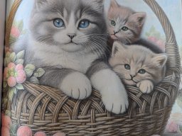 whatsapp image 2026-04-03 at 11.59.06